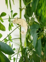 Kameleon Plantenhangers