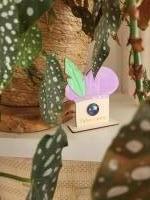 Pieten Camera - Sinterklaas decoratie